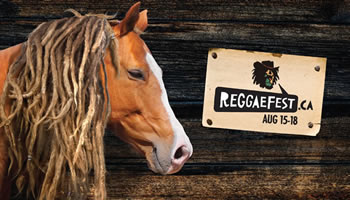 A horse with dreadlocks faces a music festival sign.